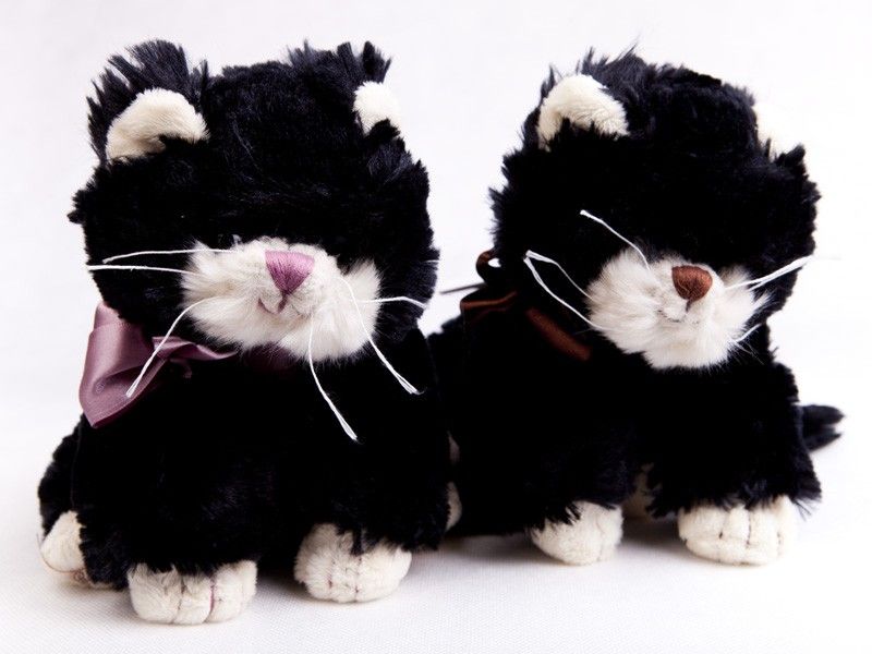Peluche chat noir 20 cm  Peluches et doudous en ligne sur