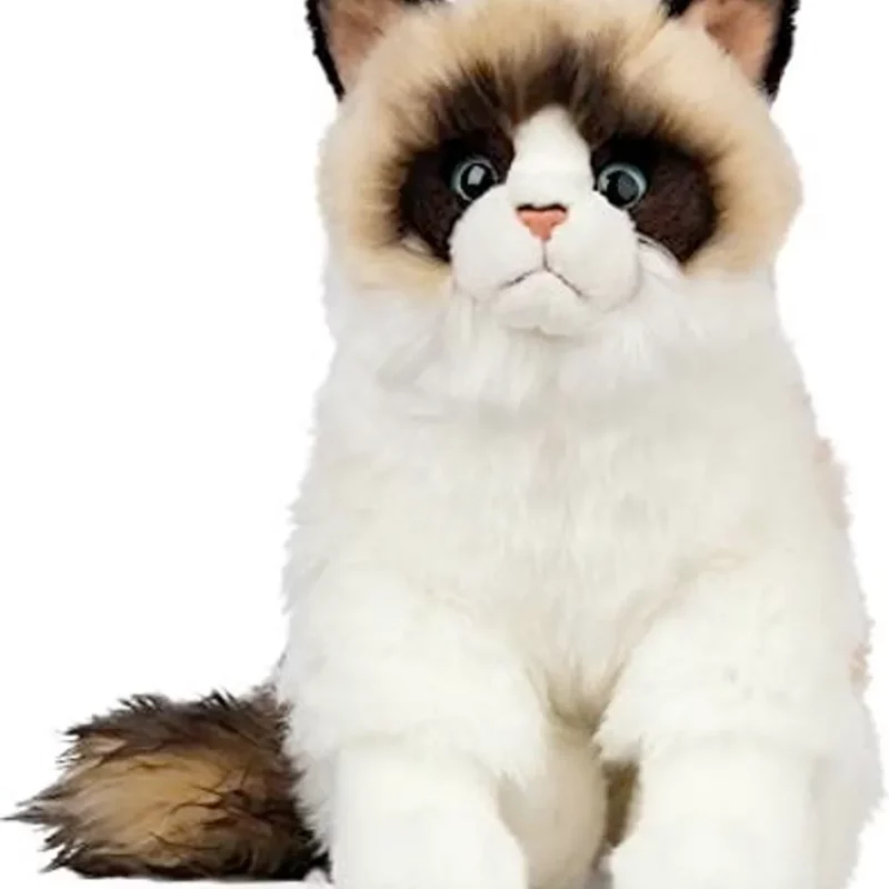 CHAT EN PELUCHE RAGDOLL  LIVING NATURE